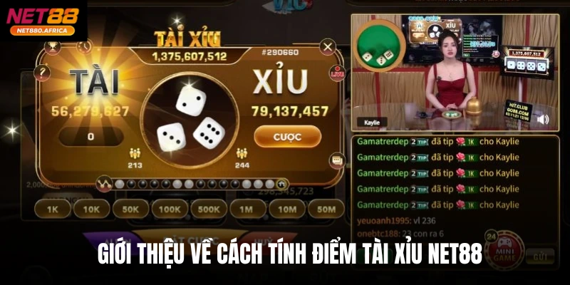 Giới thiệu về cách tính điểm Tài xỉu Net88